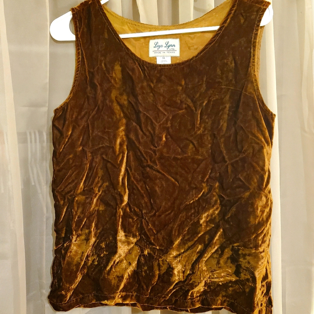 Vintage Liza Lynn Brown Velvet Top
